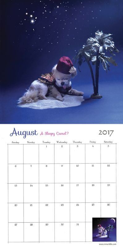 2017 Calendar